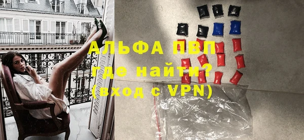 твердый Новодвинск