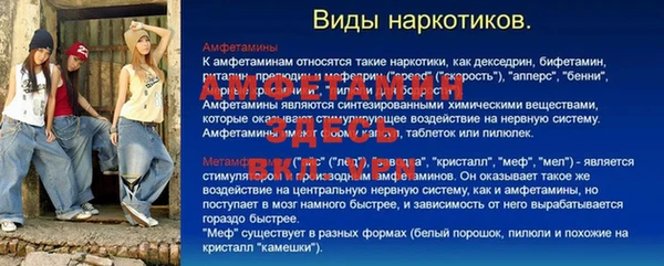 шишки Алексин