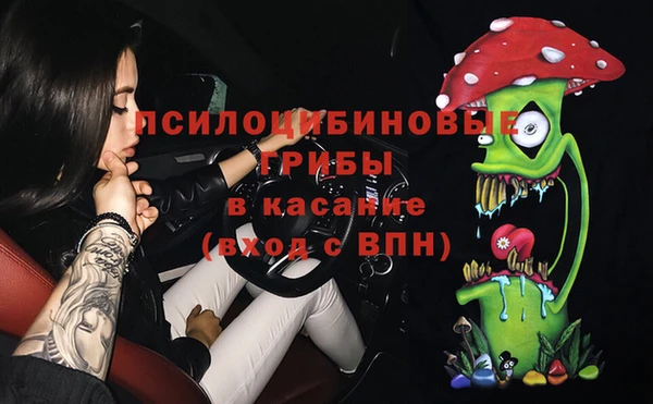 шишки Алексин
