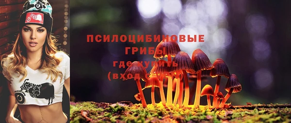 мет Алзамай