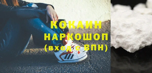шишки Алексин