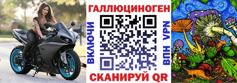 продажа наркотиков  Тверь  Галлюциногенные грибы MAGIC MUSHROOMS 